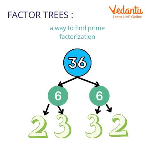 Lcm By Prime Factorization Method Learn And Solve Questions