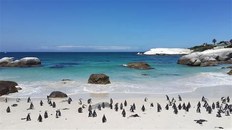 Discover 50 Popular Western Cape Holiday Destinations