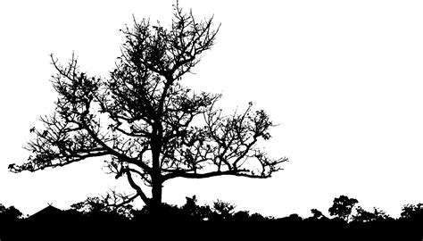 Tree Line Silhouette Vector at Vectorified.com | Collection of Tree ...