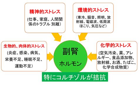 副腎疲労症候群をご存知ですか？？ 江戸川区の鍼灸院なら肩こり腰痛、うつが楽になると評判の平井鍼灸院