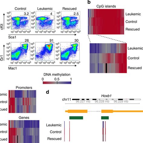 Reprogramming Erases The Aberrant Dna Methylation Patterns In Lips