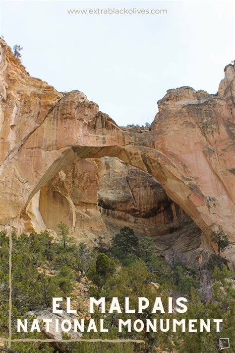 El Malpais National Monument - Extra Black Olives