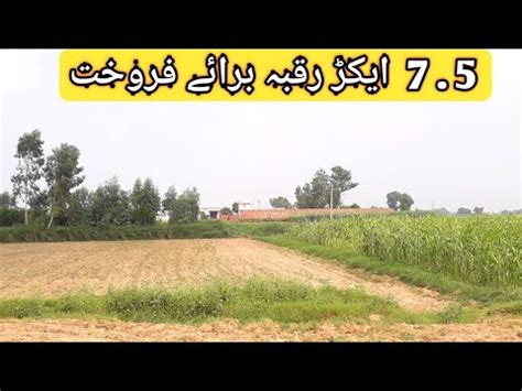 Zary Raqba Bray Frokhat Agricultural Land For Sale Land