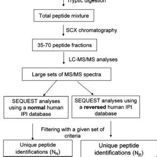 Schematic Depicting Sample Preparation And Analytical Strategy For The