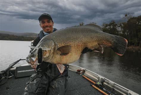 Googong Dam Giant Cod Hooked Up Magazine