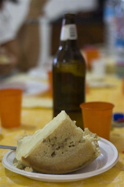 Casu Marzu Cheese (10 pics)