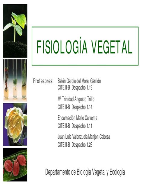 PDF TEMA1 fisiología vegetal DOKUMEN TIPS