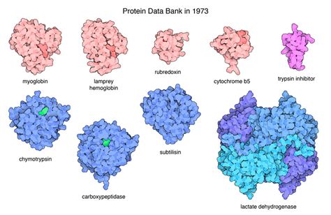 RCSB PDB PDB History