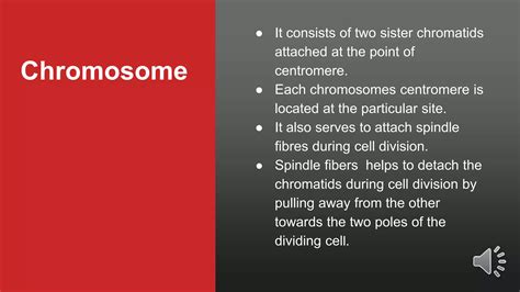 Structure of chromosomes, cell cycle, cell division | PPT