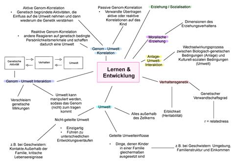 Mindmap Lernen Und Entwicklung Lernen And Entwicklung Anlage Umwelt