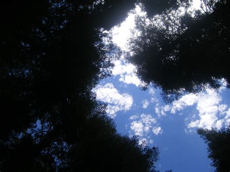 Sky Around Magoon Lake Lake Clouds Sky