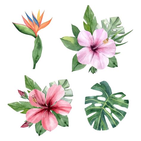 Composi O Em Aquarela De Flores Tropicais E Folhas Vetor Premium