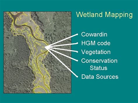 Oregon Wetland Mapping Standard Draft Version