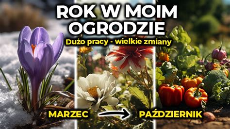 Jak Dba O Ogr D Przez Ca Y Rok Stw Rz Ogr D Jak Marzenie Youtube