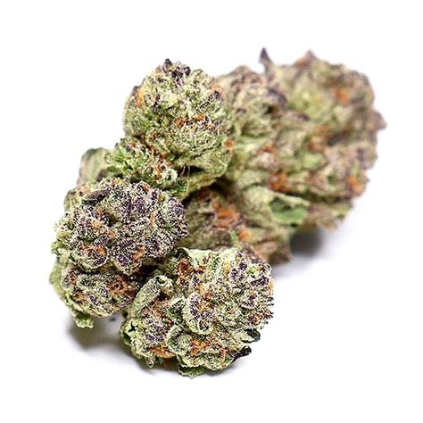 Ice Cream Cake Marijuana Strain | Hempercamp