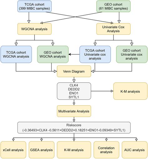 Workflow Of Bioinformatics Analysis Download Scientific Diagram