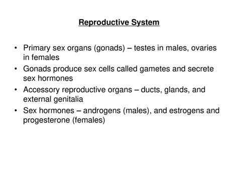 The Reproductive System Ppt Download