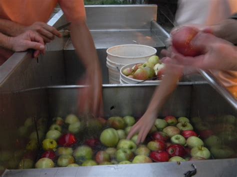 Home Joys Apple Cider Making