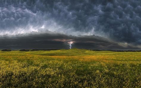 Online Crop Green Grass Field Nature Landscape Field Clouds Hd