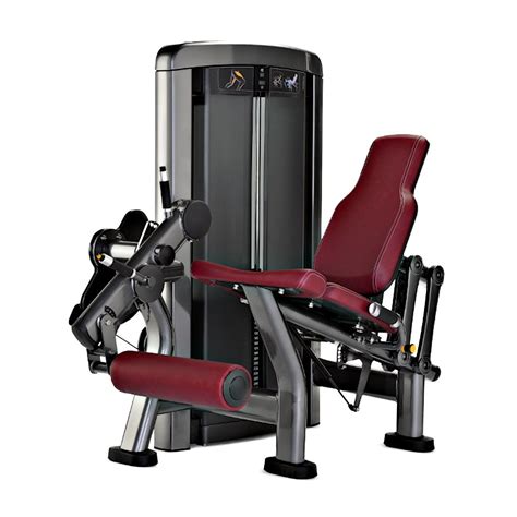 Commercial Gym Use Machine Pin Loaded Seated Leg Extension China