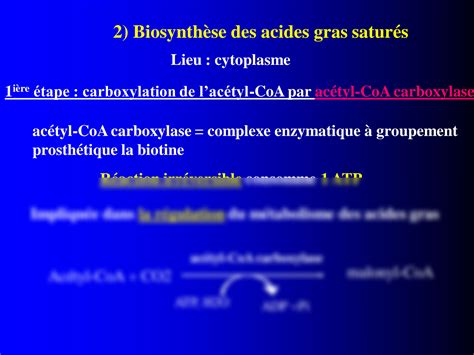 Solution Ch Partie Biosynthese Des Acides Gras Biochemistry