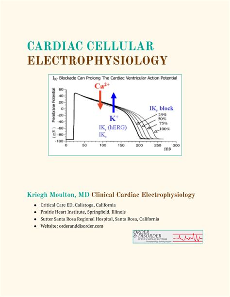 Pdf Cardiac Cellular Electrophysiology