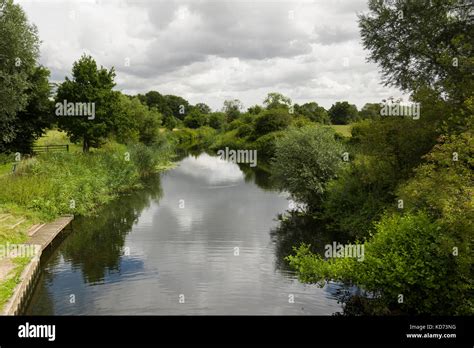 Chelmer & Blackwater Canal Stock Photo - Alamy