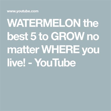 Watermelon The Best 5 To Grow No Matter Where You Live Youtube How