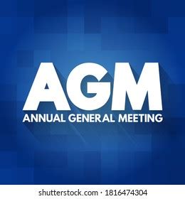 Agm Annual General Meeting Meeting General Stock Vector Royalty Free