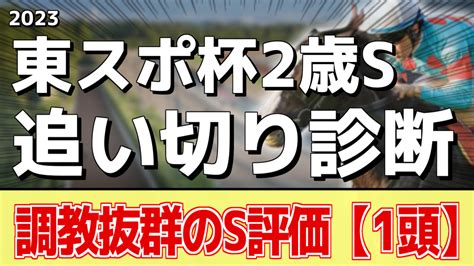 【東京スポーツ杯2歳ステークス2023】追い切り評価《調教推奨馬はアノ馬たち》 アギョウトレセン