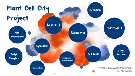 Plant Cell City Project By Mauriz Mendizabel On Prezi