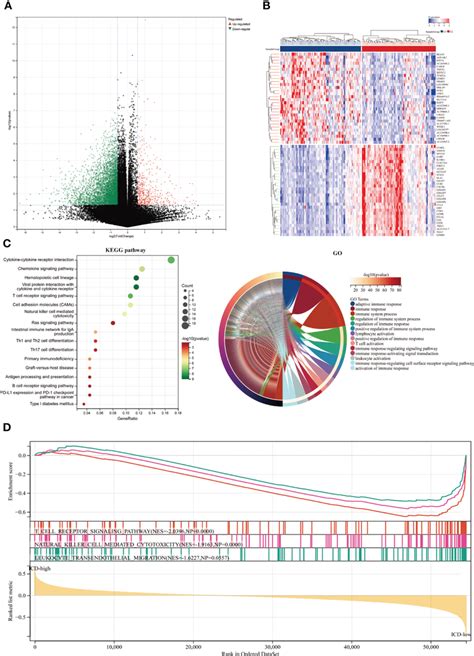 Identifying Differentially Expressed Genes Degs And Underlying