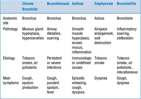 The Respiratory System Basicmedical Key