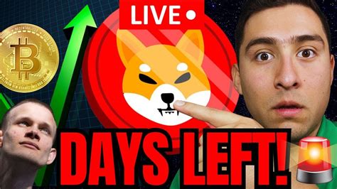 SHIBA INU COIN WHALES ALIVE BUYING HUGE CRYPTO NEWS YouTube