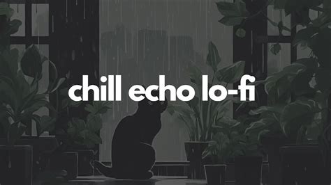 The Ultimate Guide To Chill Echo Lo Fi Music Youtube