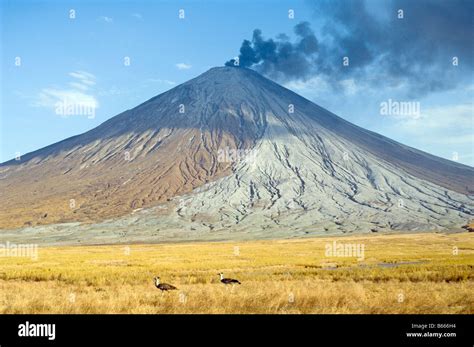 Eruption of Ol Doinyo Lengai in 2007 Tanzania Stock Photo, Royalty Free ...