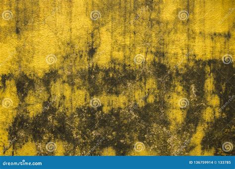 A Old Dirty Yellow Concrete Wall With Cracks And Black Spots Of Paint