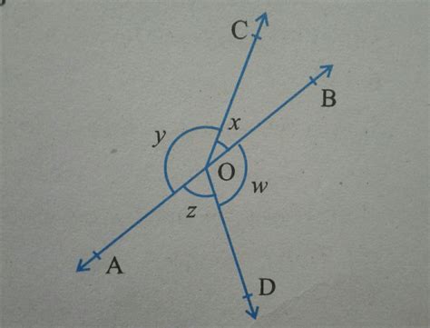 In The Figure If X Y W Z Then Prove That Aob Is A Line Brainly In