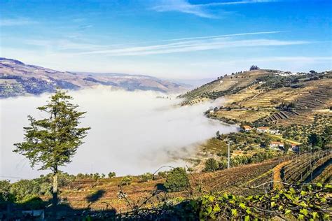 Von Porto Aus Kleingruppentour F R Essen Und Wein Im Douro Tal