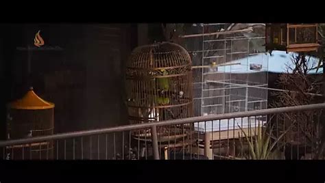 Riki Lindhome Nude Porn Videos Sex Tapes XHamster