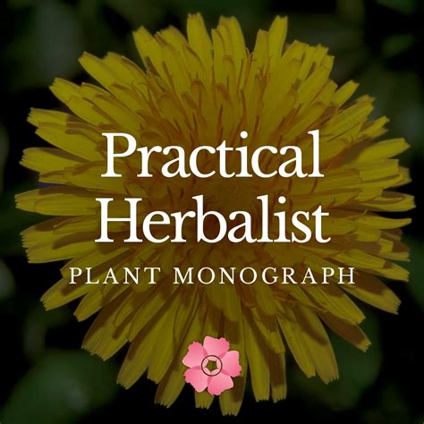 Practical Herbalist Plant Monograph Wild Rose College Of Herbal Medicine