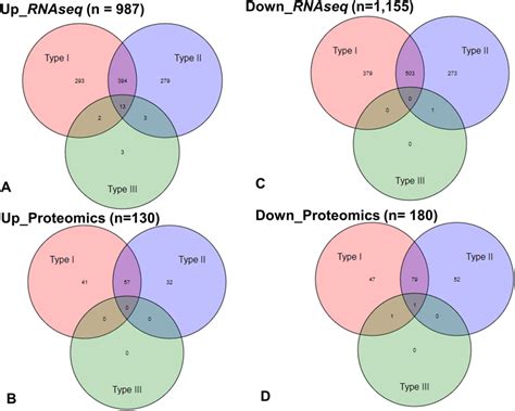 Venn Diagram Of Genes And Proteins Regulated By Ifn Types The Venn