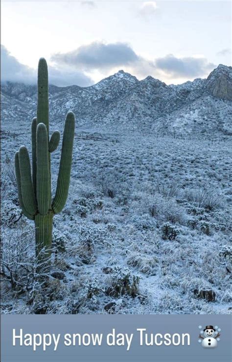 Tracy Jordan On Twitter Happy Snow Day Tucson 🌨 ️🌵🩵🥶