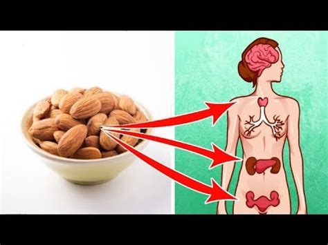 See What Happens If You Eat Few Almonds Before Bed Youtube