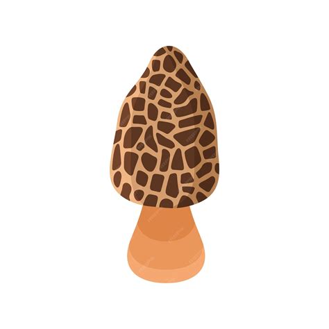 Morel mushroom realistic flat style vector illustration | Premium Vector