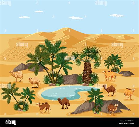 Cartoon Desert Oasis Hi Res Stock Photography And Images Alamy