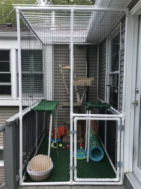 How To Build A Catio With Pvc Pipes