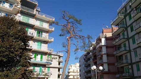 Quindici Molfetta Legambiente Lamministrazione Minervini Senza