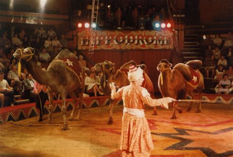 A friend of the Circus: Peter Jay's Hippodrome Circus, Great Yarmouth UK, 1984