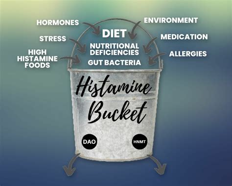 Whats A Histamine Bucket Vitality Nutrition